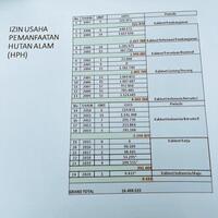 walhi-pelepasan-hutan-kalimantan-era-jokowi-capai-427952-hektare