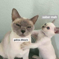 eks-wali-kota-padang-bikin-aturan-wajib-berjilbab-untuk-cegah-dbd