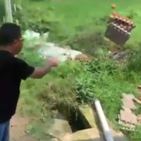 harga-murah-peternak-di-magetan-pilih-buang-telur-ke-sawah