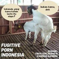 nikita-mirzani-sering-eksekusi-teman-di-rumah-punya-trik-tak-ketahuan