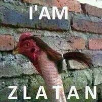 spectre-soccer-room-2019-2020-----part-1