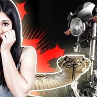 lagi-enak-sunmori-wanita-cantik-ini-terkaget-di-motornya-ada-ular-sebesar-ini