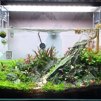 aquascape-for-everyone-learning-and-sharing---part-4