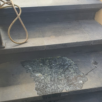 konsultasi-masalah-kesehatan--penyakit-hewan-kesayangan---part-2