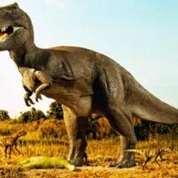 4-fakta-unik-tentang-dinosaurus-kamu-pasti-banyak-yang-belum-tahu-nih