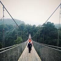 suspension-bridge-situ-gunung-dan-curug-sawer-keindahan-di-hutan-gede-pangrango