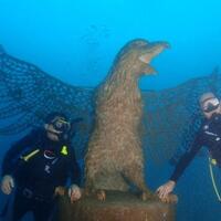 kebun-karang-raksasa-jadi-spot-wisata-selam-baru-di-bali