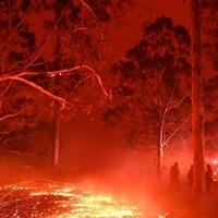 kebakaran-hutan-warga-perth-bingung-antara-keluar-rumah-atau-jalankan-lockdown