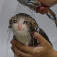 lebih-manut-omongan-mantan-daripada-suami