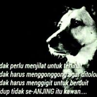 pedas-politisi-demokrat-sebut-jokowi-bisa-bangun-indonesia-berkat-sby