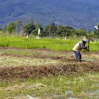 pemerintah-bakal-sita-tanah-hak-milik-yang-ditelantarkan