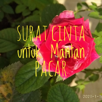 surat-cinta-untuk-mantan-pacar