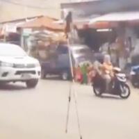 lucu-monyet-main-egrang-di-jalan-raya-ini-membuktikan-bahwa-dia-hewan-pandai