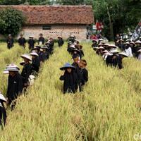 budaya-liliuran-kearifan-lokal-masyarakat-sunda-yang-makin-tergerus-zaman