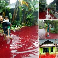 banjir-merah-darah-terjadi-di-suatu-wilayah-apakah-berbahaya