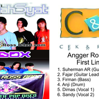 line-up-person-angger-ross-band