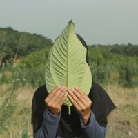 love-letter-5-surat-untuk-rere