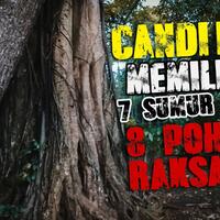 candi-yang-memiliki-8-pohon-besar-dan-7-sumur-lumpang-batu