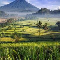 love-letter-5untuk-bumi-jangan-rapuh-jangan-menyerah-wahai-alam-semesta