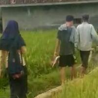 diduga-mesum-di-gubuk-sawah-pasangan-smp-ini-digerebek-warga-orangtua-dipanggil