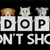 dia-menungguku-pulang-sebelum-berpulang-karena-virus-panleukopenia