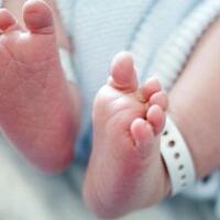 bayi-8-hari-diculik-kawanan-monyet-lalu-tewas-dilempar-dari-atap-rumah