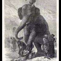 pdip-tolak-hukuman-mati-bagi-koruptor-politikus-demokrat-sebagai-juara-wajar