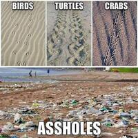 jadi-ketakutan-dunia-srocc-ungkap-air-laut-di-indonesia-terancam-jadi-asam