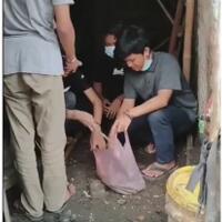 viral-komunitas-remaja-carenang-ringan-tangan-aktifitasnya-bikin-terharu