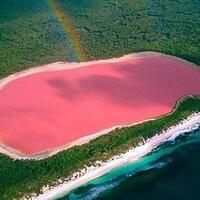 pesona-hillier-lake-danau-merah-jambu-di-australia-barat