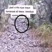 mitos-burung-jalak-pemandu-pendaki-gunung-lawu-tersesat-ada-sejak-era-majapahit