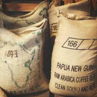 asosiasi-eksportir-dan-industri-kopi-indonesia