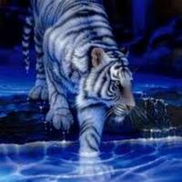 khodam-manusia--4-spiritual-yang-memiliki-khodam-yang-kuat