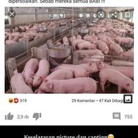 membandingkan-kerumunan-jokowi-dan-hrs-yang-melanggar-prokes