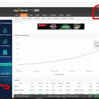 info-porfolio-saya--trading-manual-serta-trading-dengan-robot-trading