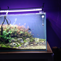 aquascape-for-everyone-learning-and-sharing---part-4