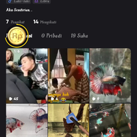nonton-video-bisa-menghasilkan-duityok-gabung