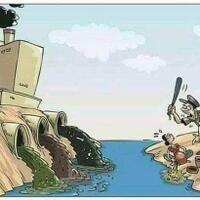 catat-ya-bukan-china-luhut-gandeng-uea-bangun-proyek-mangrove-raksasa-di-ri