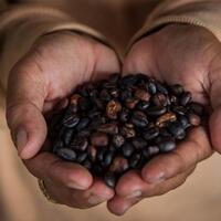 tiga-varian-kopi-indonesia-ramaikan-pasar-kopi-jerman