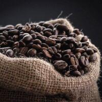 mengenal-sustainable-coffee-penting-dalam-industri-kopi