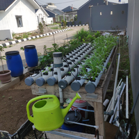 new-all-about-hidroponik