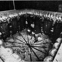 penelitian-membuat-kota-impian-untuk-tikus--oleh-prof-john-calhoun