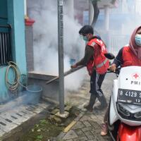 2-warga-terjangkit-dbd-pmi-gerak-cepat-penyemprotan-fogging