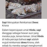 kenang-saat-tinggal-di-singapura-kaesang-makan-daging-babi-bikin-ngangenin