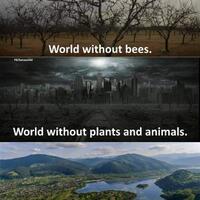 apakah-bumi-sedang-memasuki-era-kepunahan-massal-ke-6