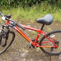 gowes-sambil-menikmati-panorama-alam-sepeda-gunung-jadi-pilihan-ane