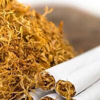 5-jenis-rokok-yang-ada-di-indonesia