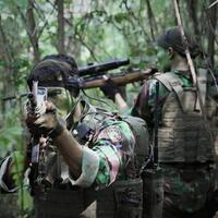 pandangan-militer-internasional-terhadap-tni