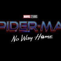 spider-man-3-temporary-title2021--3rd-mcu-spider-man-film