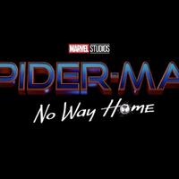 spider-man-no-way-home-2021--3rd-mcu-spider-man-film